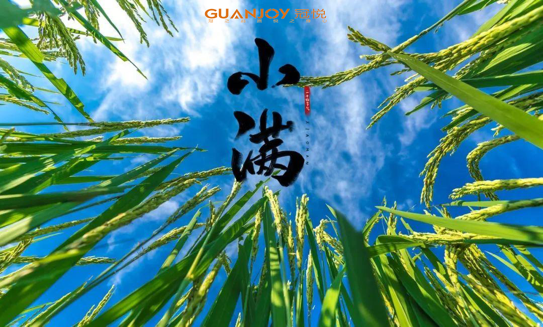 思源醫(yī)療教你小滿(mǎn)怎樣養(yǎng)生！