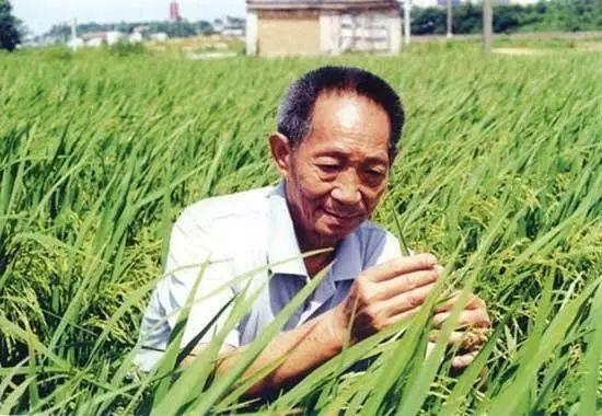 一日三餐，米香彌漫，飽食者當(dāng)憶袁公！