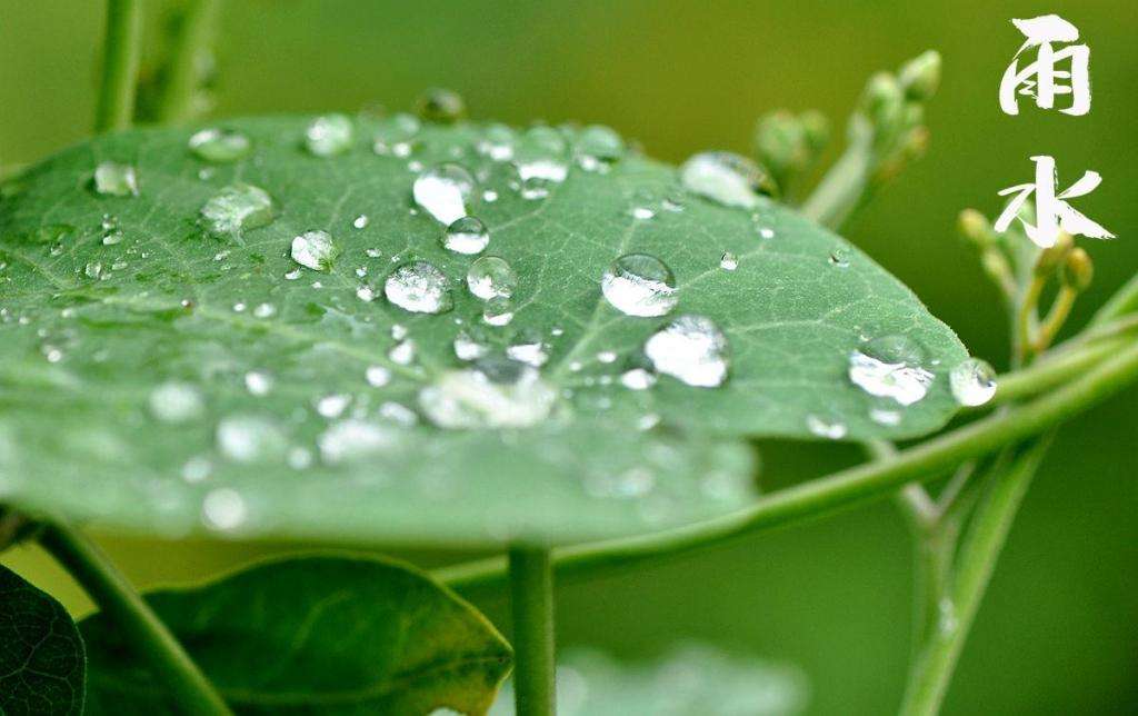 雨水！